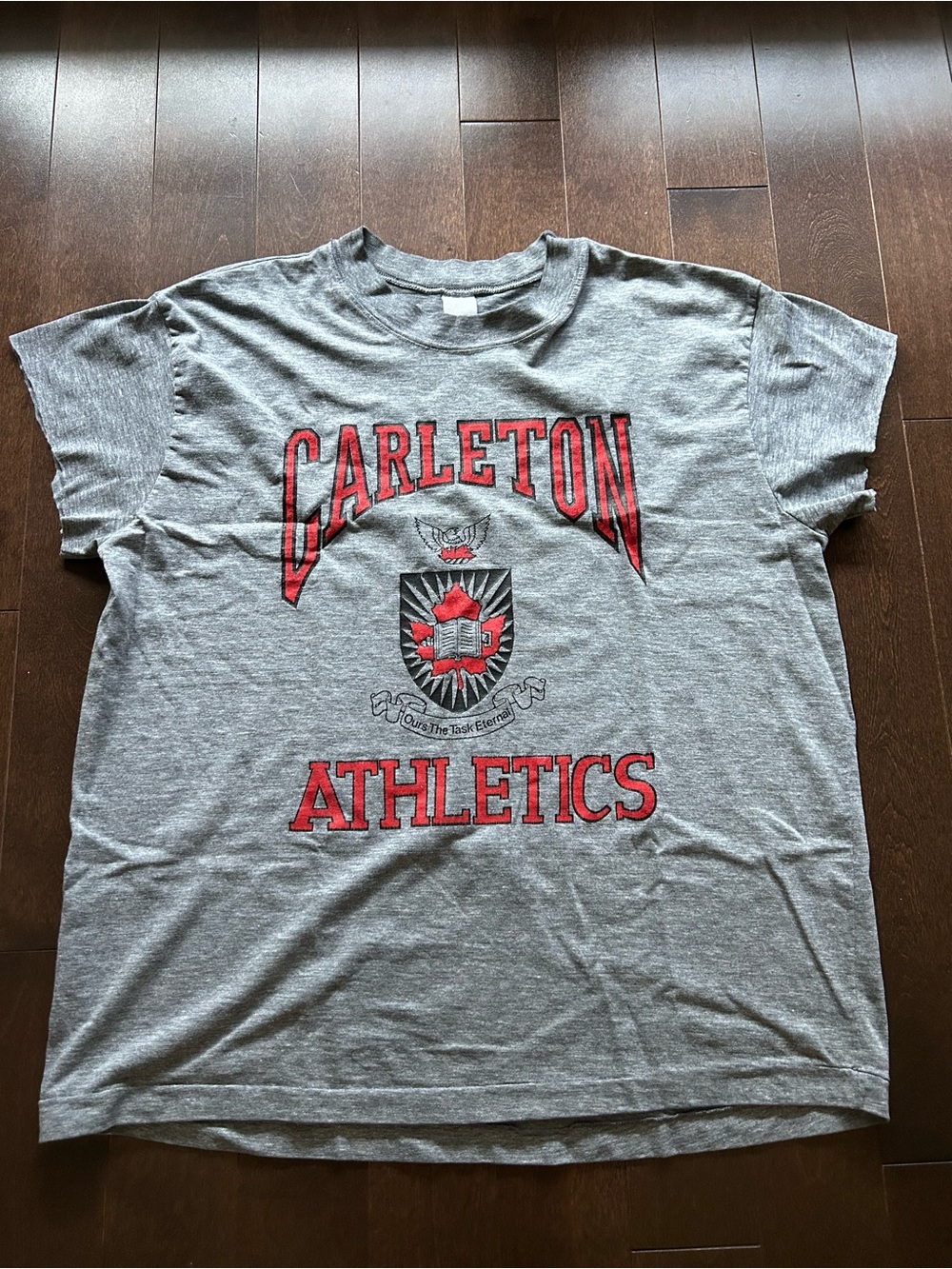 80’s Vintage Carleton University Athletics  Ottawa T Shirt Cutoff